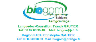 Biogom entreprise de nettoyage par hydrogommage
